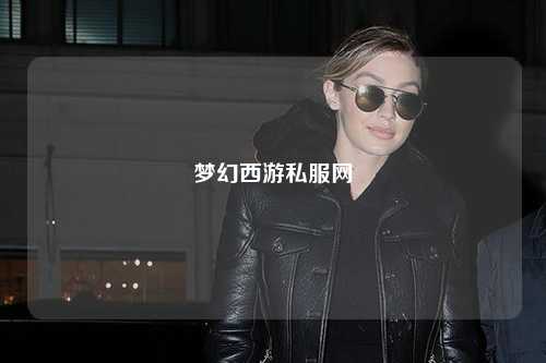 梦幻西游私服网